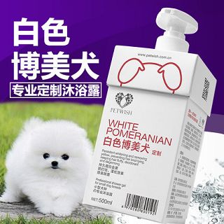 寵物清潔全攻略 從除臭消毒到芬芳留香，打造清新愛寵空間