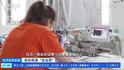 寵物犬繩銷量迎來井噴式增長 市場新藍(lán)海背后的深層邏輯與未來展望