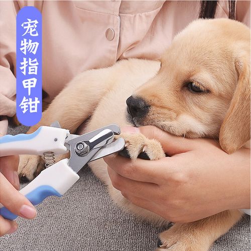 寵享生活 一手掌握狗狗護(hù)理之“狼威”工具解密